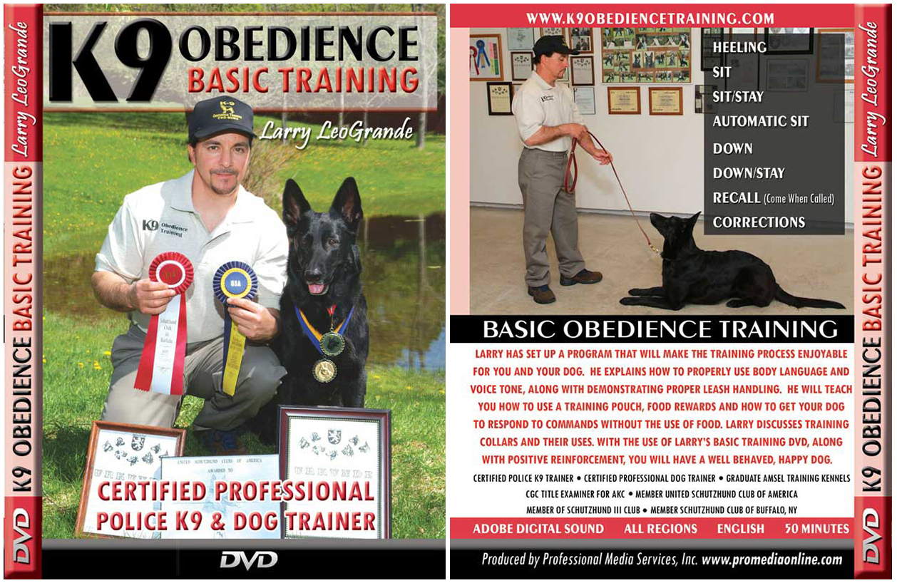 pro k9 dog training